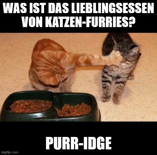cats share food | WAS IST DAS LIEBLINGSESSEN VON KATZEN-FURRIES? PURR-IDGE | image tagged in cats share food,furry | made w/ Imgflip meme maker