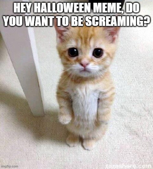 I need to scream about Halloween meme | HEY HALLOWEEN MEME, DO YOU WANT TO BE SCREAMING? | image tagged in memes,cute cat | made w/ Imgflip meme maker