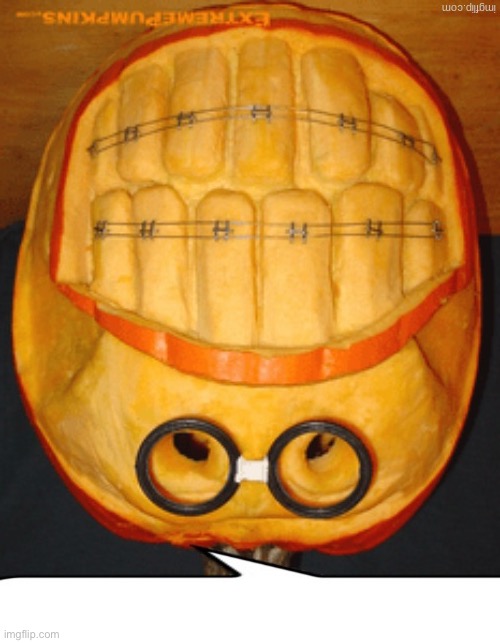 Jack O Nerd | image tagged in jack o nerd | made w/ Imgflip meme maker