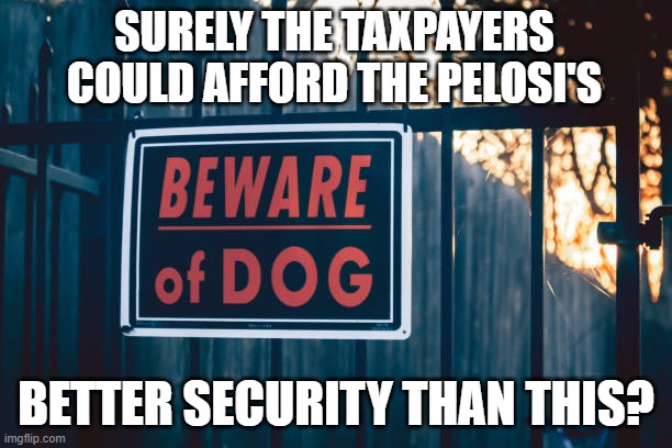 Did he hammer through the gate? | SURELY THE TAXPAYERS COULD AFFORD THE PELOSI'S; BETTER SECURITY THAN THIS? | image tagged in memes,nancy pelosi,democrats,joe biden | made w/ Imgflip meme maker