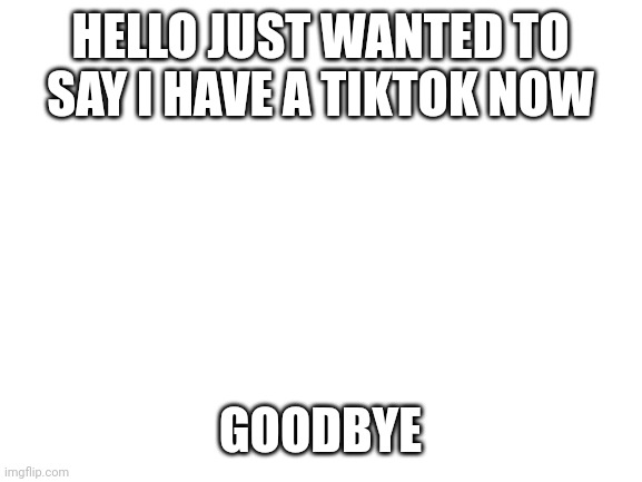 Tiktok | HELLO JUST WANTED TO SAY I HAVE A TIKTOK NOW; GOODBYE | image tagged in furries,tiktok,funny memes | made w/ Imgflip meme maker