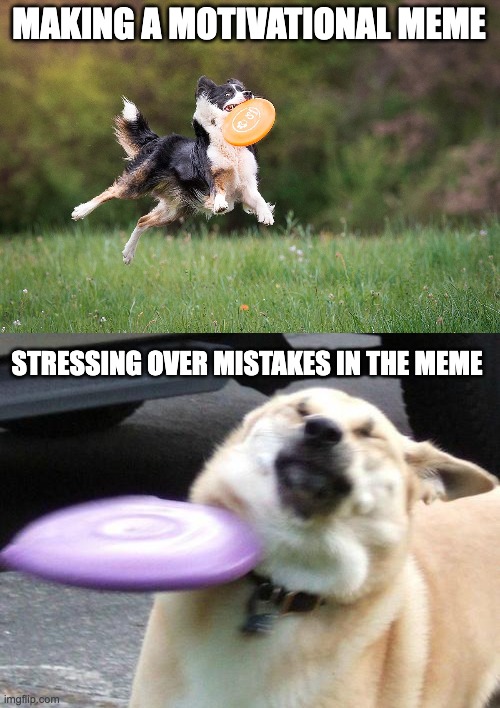 meme making reality |  MAKING A MOTIVATIONAL MEME; STRESSING OVER MISTAKES IN THE MEME | image tagged in reality check | made w/ Imgflip meme maker
