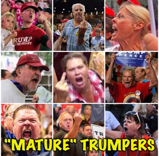 Triggered Trump supporters | "MATURE" TRUMPERS | image tagged in triggered trump supporters | made w/ Imgflip meme maker