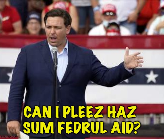 Governor Ron DeSantis - Nazi Misogynist | CAN I PLEEZ HAZ 
SUM FEDRUL AID? | image tagged in governor ron desantis - nazi misogynist | made w/ Imgflip meme maker