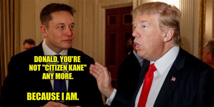 Citizen Musk | DONALD, YOU'RE 
NOT "CITIZEN KANE"
ANY MORE. BECAUSE I AM. | image tagged in elon musk,donald trump | made w/ Imgflip meme maker