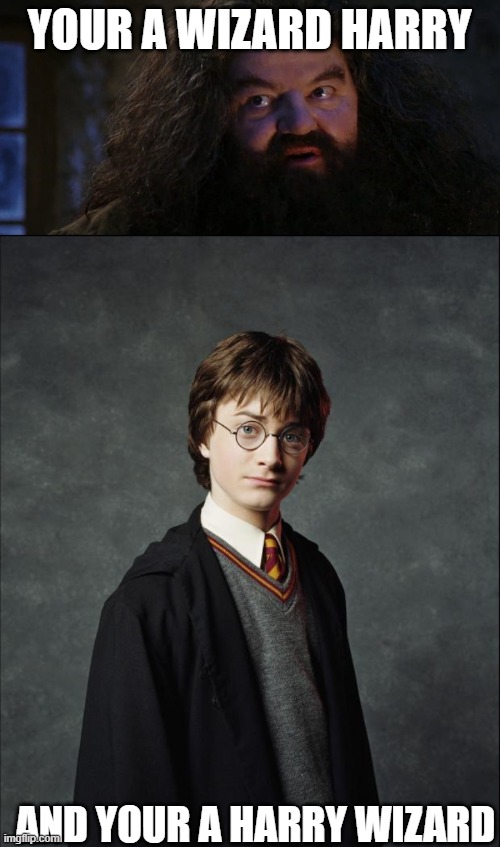 Wizard or Harry wizard | YOUR A WIZARD HARRY; AND YOUR A HARRY WIZARD | image tagged in your a wizard harry,harry potter | made w/ Imgflip meme maker