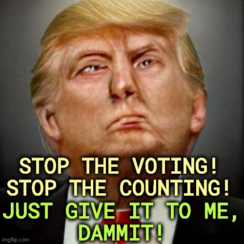 Democracy? Never heard of it. | STOP THE VOTING!
STOP THE COUNTING! JUST GIVE IT TO ME,
DAMMIT! | image tagged in trump,rigged elections,stop,stealing | made w/ Imgflip meme maker
