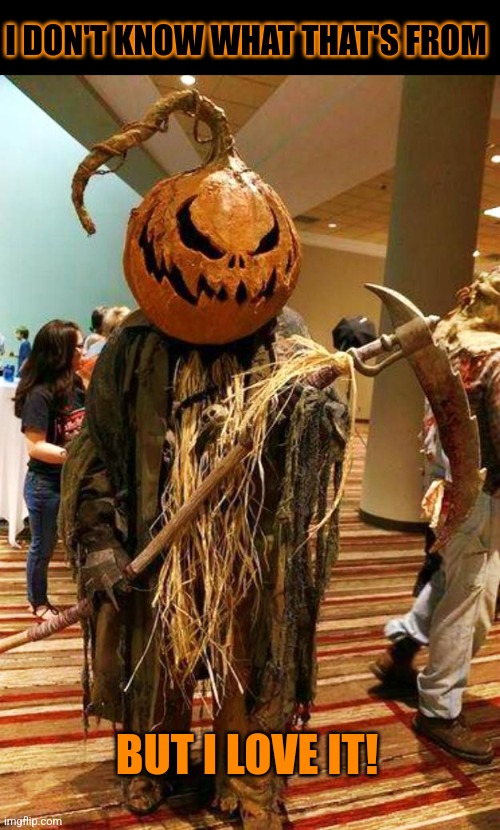 PUMPKINHEAD SCARECROW | I DON'T KNOW WHAT THAT'S FROM; BUT I LOVE IT! | image tagged in scarecrow,pumpkin,halloween,cosplay,spooktober | made w/ Imgflip meme maker
