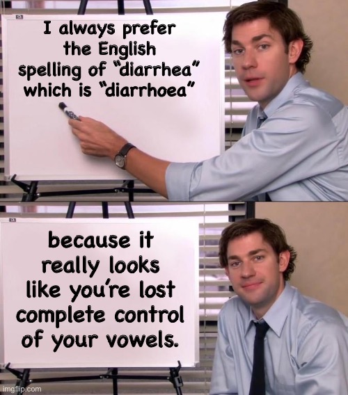 Loose vowels | I always prefer the English spelling of “diarrhea” which is “diarrhoea”; because it really looks like you’re lost complete control of your vowels. | image tagged in jim halpert explains | made w/ Imgflip meme maker