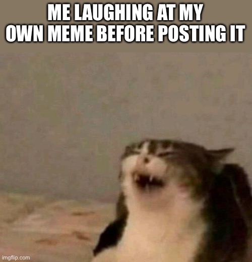 Laughing cat | ME LAUGHING AT MY OWN MEME BEFORE POSTING IT | image tagged in laughing cat,memes,funny,gifs,cats,dogs | made w/ Imgflip meme maker