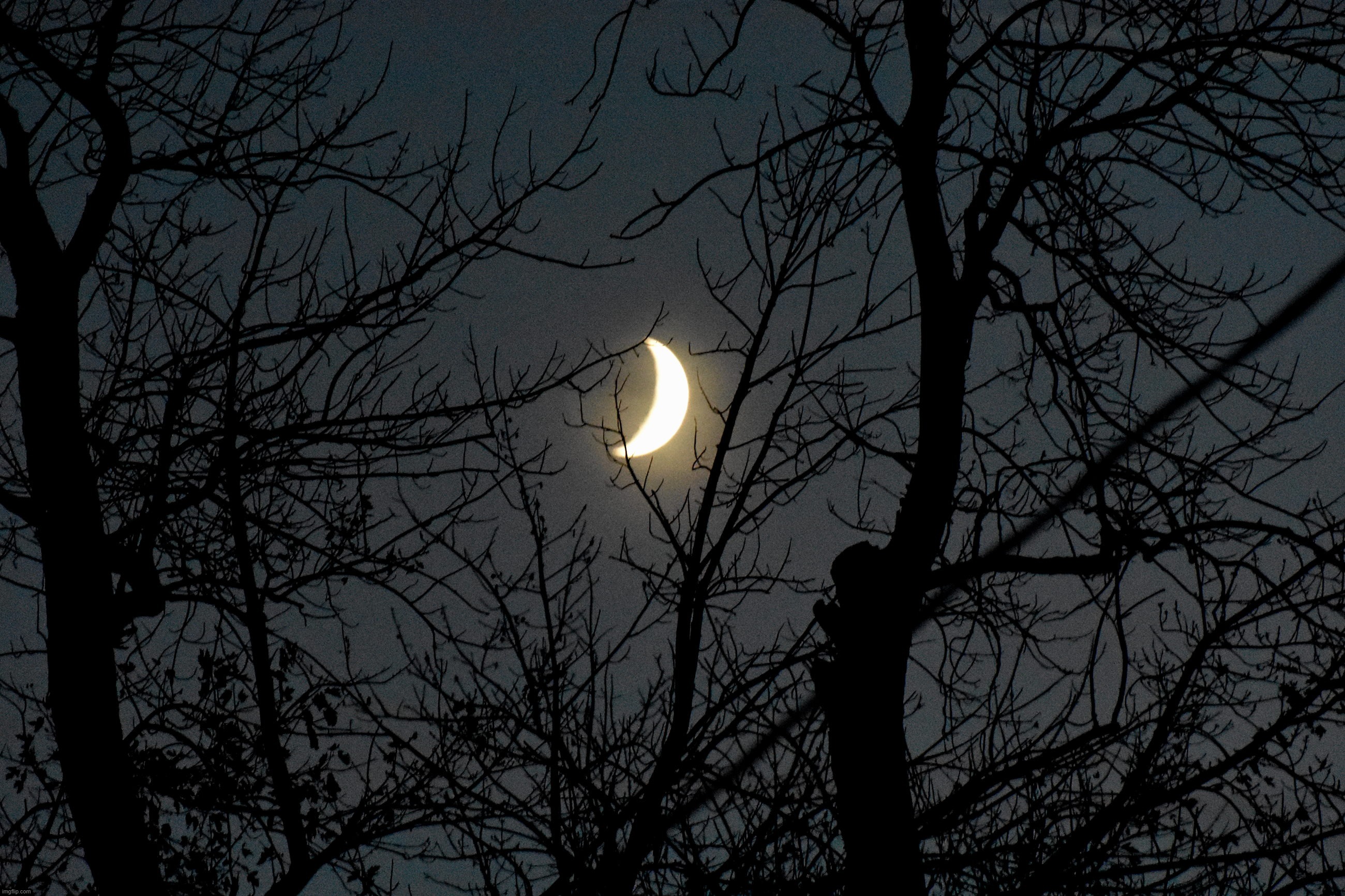 cresent moon through the trees | image tagged in cresent moon,nikon,kewlew | made w/ Imgflip meme maker