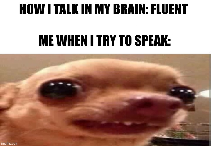 This sucks, sorry. | HOW I TALK IN MY BRAIN: FLUENT; ME WHEN I TRY TO SPEAK: | image tagged in white bar | made w/ Imgflip meme maker