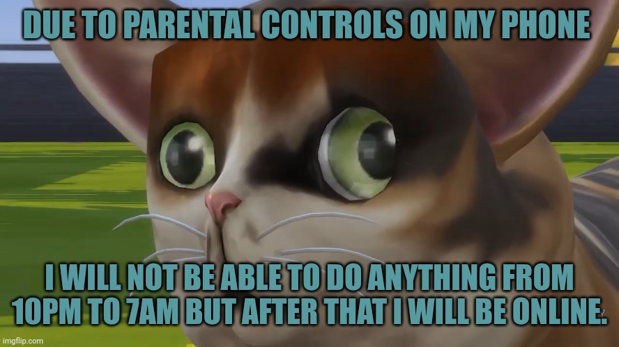 Sad | DUE TO PARENTAL CONTROLS ON MY PHONE; I WILL NOT BE ABLE TO DO ANYTHING FROM 10PM TO 7AM BUT AFTER THAT I WILL BE ONLINE. | image tagged in spleens the cat | made w/ Imgflip meme maker
