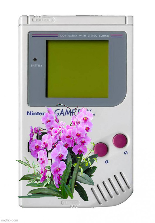 gameboy | image tagged in gameboy | made w/ Imgflip meme maker