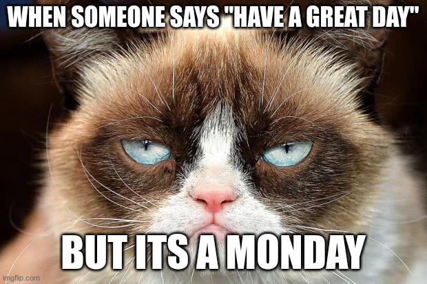 this is 102.46478% me | WHEN SOMEONE SAYS "HAVE A GREAT DAY"; BUT ITS A MONDAY | image tagged in grumpy cat,grumpy cat not amused,memes | made w/ Imgflip meme maker