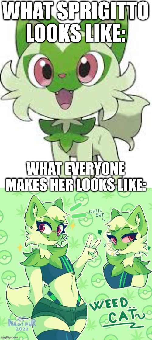 stop it | WHAT SPRIGITTO LOOKS LIKE:; WHAT EVERYONE MAKES HER LOOKS LIKE: | image tagged in sprigatto,furry art | made w/ Imgflip meme maker