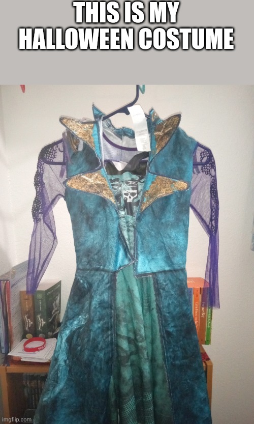 THIS IS MY HALLOWEEN COSTUME | made w/ Imgflip meme maker