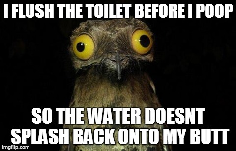 Weird Stuff I Do Potoo Meme | I FLUSH THE TOILET BEFORE I POOP SO THE WATER DOESNT SPLASH BACK ONTO MY BUTT | image tagged in memes,weird stuff i do potoo | made w/ Imgflip meme maker