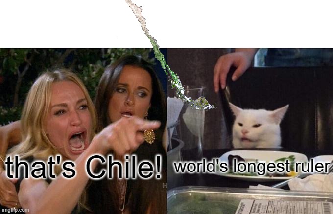 Woman Yelling At Cat | that's Chile! world's longest ruler | image tagged in memes,woman yelling at cat | made w/ Imgflip meme maker