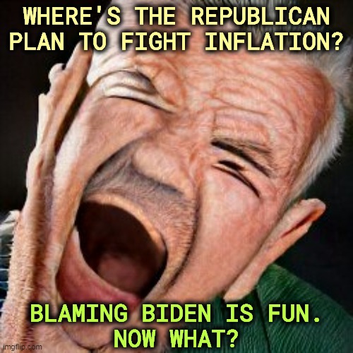 WHERE'S THE REPUBLICAN PLAN TO FIGHT INFLATION? BLAMING BIDEN IS FUN.
NOW WHAT? | image tagged in inflation,republican,plan,empty | made w/ Imgflip meme maker