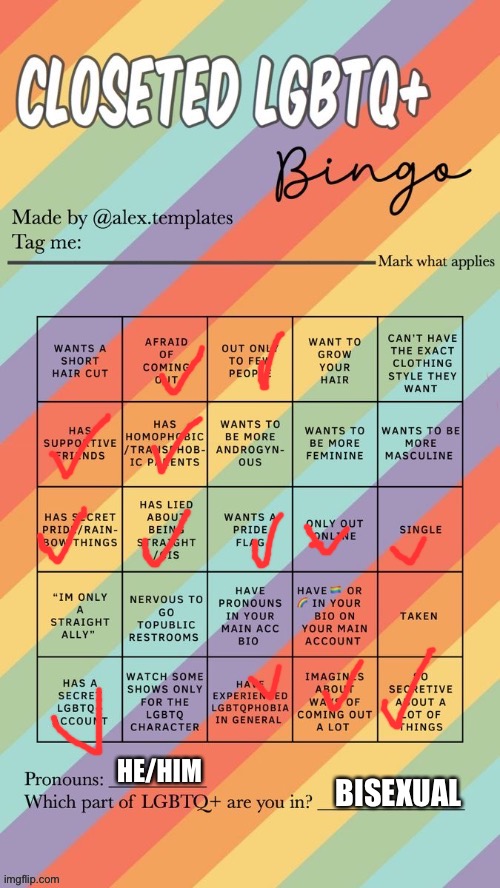 Closeted LGBTQ+ Bingo | HE/HIM; BISEXUAL | image tagged in closeted lgbtq bingo | made w/ Imgflip meme maker