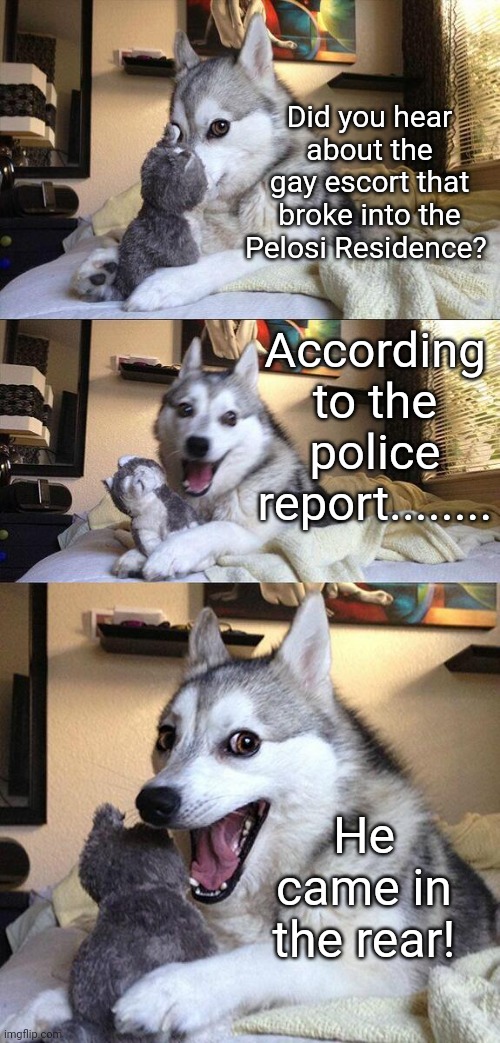 That's what it said! | Did you hear about the gay escort that broke into the Pelosi Residence? According to the police report........ He came in the rear! | image tagged in memes,bad pun dog | made w/ Imgflip meme maker