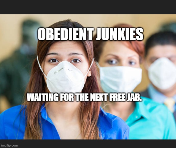 People wearing flu masks | OBEDIENT JUNKIES; WAITING FOR THE NEXT FREE JAB. | image tagged in people wearing flu masks | made w/ Imgflip meme maker