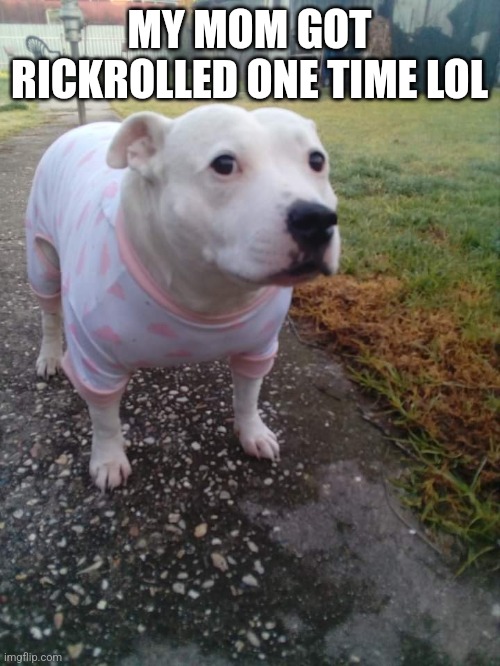 High quality Huh Dog | MY MOM GOT RICKROLLED ONE TIME LOL | image tagged in high quality huh dog | made w/ Imgflip meme maker