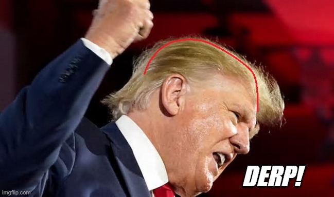 Denials of Donald J. Trump's microcephalism aren't fooling anyone. | DERP! | image tagged in all the duuur | made w/ Imgflip meme maker