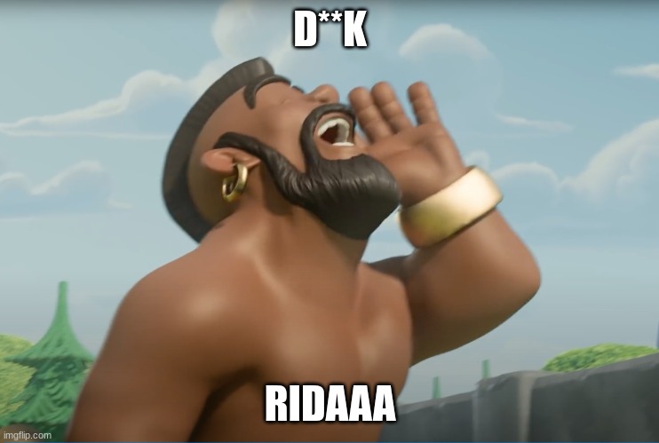 hog ridaaaa | D**K; RIDAAA | image tagged in hog ridaaaa | made w/ Imgflip meme maker