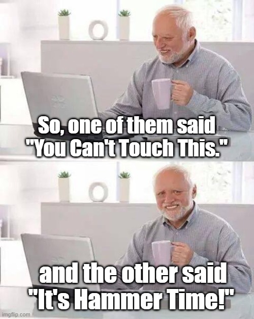 hmmmm |  So, one of them said "You Can't Touch This."; and the other said   "It's Hammer Time!" | image tagged in memes,hide the pain harold | made w/ Imgflip meme maker