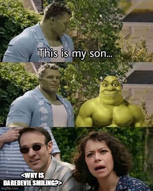 But He Can't See??? | <WHY IS DAREDEVIL SMILING?> | image tagged in she hulk,shrek,daredevil | made w/ Imgflip meme maker