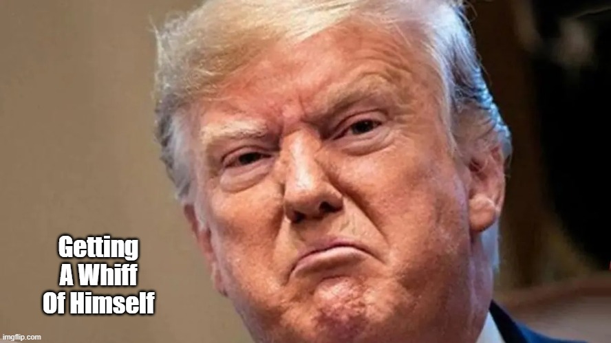 Trump Gets A Whiff... | Getting A Whiff Of Himself | image tagged in trump,stink,stench,foul smell | made w/ Imgflip meme maker