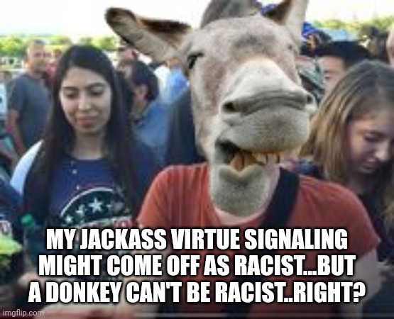 MY JACKASS VIRTUE SIGNALING MIGHT COME OFF AS RACIST...BUT A DONKEY CAN'T BE RACIST..RIGHT? | made w/ Imgflip meme maker