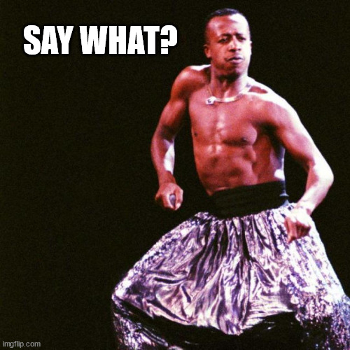 MC Hammer - You can’t touch this | SAY WHAT? | image tagged in mc hammer - you can t touch this | made w/ Imgflip meme maker
