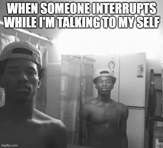 talking to myself | WHEN SOMEONE INTERRUPTS WHILE I'M TALKING TO MY SELF | image tagged in memes | made w/ Imgflip meme maker