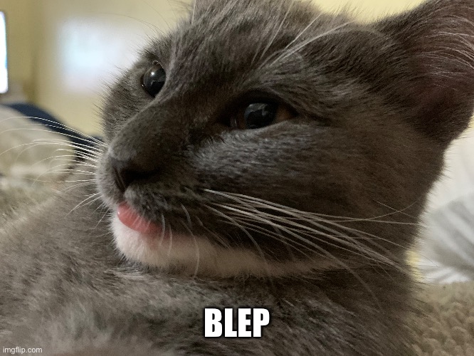 AHHHHHHHHH CUTEEEEEEEE | BLEP | made w/ Imgflip meme maker