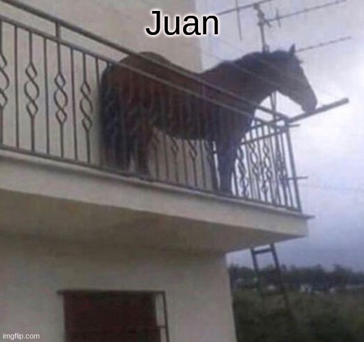 Juan | Juan | image tagged in juan | made w/ Imgflip meme maker