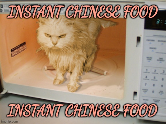 You forgot to cook this | INSTANT CHINESE FOOD; INSTANT CHINESE FOOD | image tagged in instant,chinese,food | made w/ Imgflip meme maker