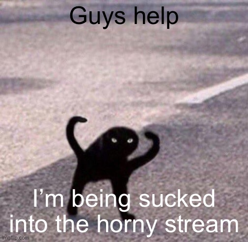 Cursed cat temp | Guys help; I’m being sucked into the horny stream | image tagged in cursed cat temp | made w/ Imgflip meme maker