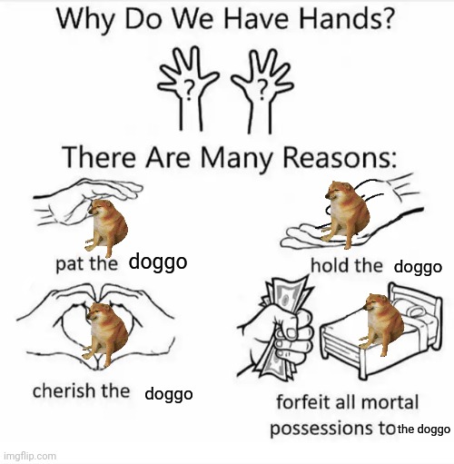why do we have hands | doggo doggo doggo the doggo | image tagged in why do we have hands | made w/ Imgflip meme maker