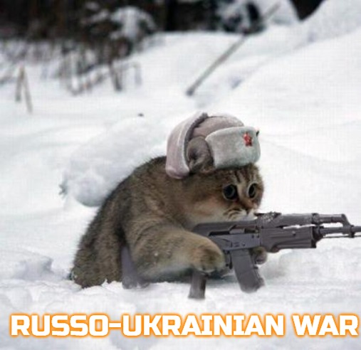 Cute Sad Soviet War Kitten | RUSSO-UKRAINIAN WAR | image tagged in cute sad soviet war kitten,slavic,slm,blm | made w/ Imgflip meme maker