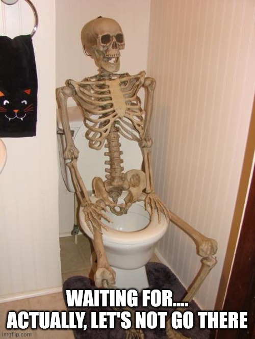 Skeleton on toilet | WAITING FOR.... ACTUALLY, LET'S NOT GO THERE | image tagged in skeleton on toilet | made w/ Imgflip meme maker