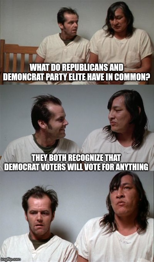 Anything but sanity | WHAT DO REPUBLICANS AND DEMONCRAT PARTY ELITE HAVE IN COMMON? THEY BOTH RECOGNIZE THAT DEMOCRAT VOTERS WILL VOTE FOR ANYTHING | image tagged in bad joke jack 3 panel | made w/ Imgflip meme maker