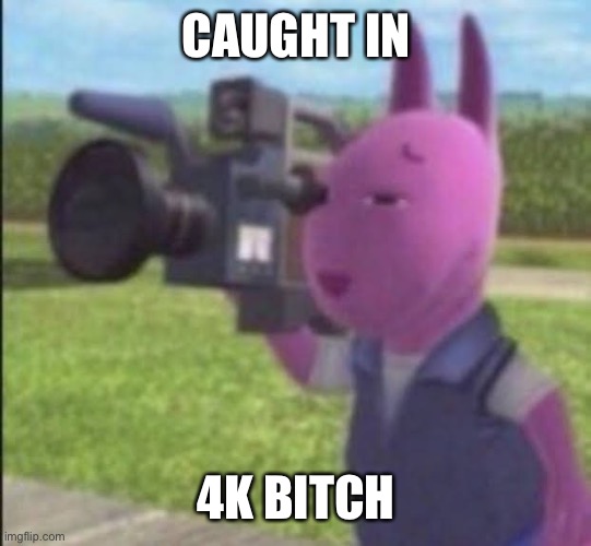 Caught in 4k | CAUGHT IN 4K BITCH | image tagged in caught in 4k | made w/ Imgflip meme maker