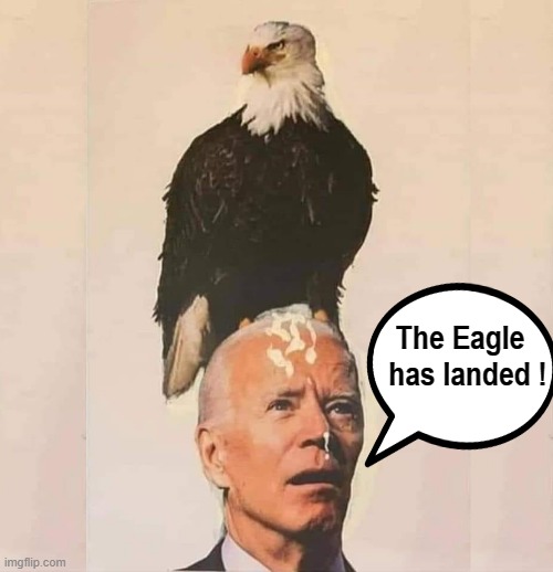 Houston, we have a problem ! | The Eagle  
has landed ! | image tagged in dementia | made w/ Imgflip meme maker