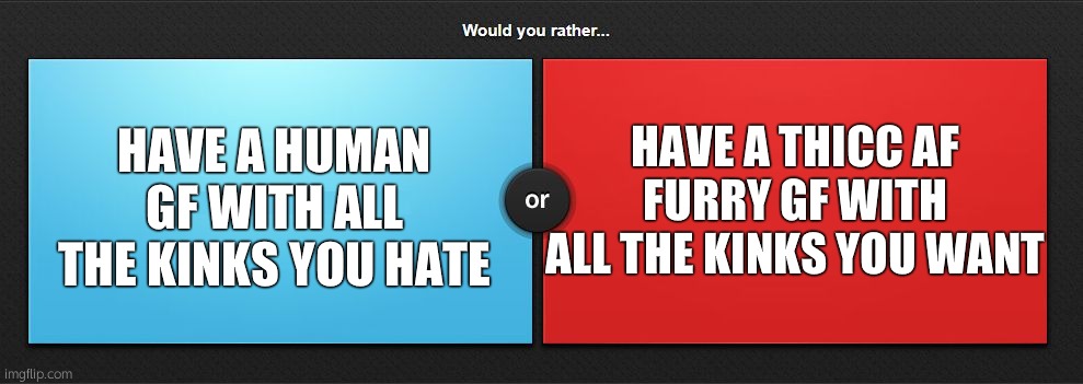 Would you rather | HAVE A THICC AF FURRY GF WITH ALL THE KINKS YOU WANT; HAVE A HUMAN GF WITH ALL THE KINKS YOU HATE | image tagged in would you rather | made w/ Imgflip meme maker