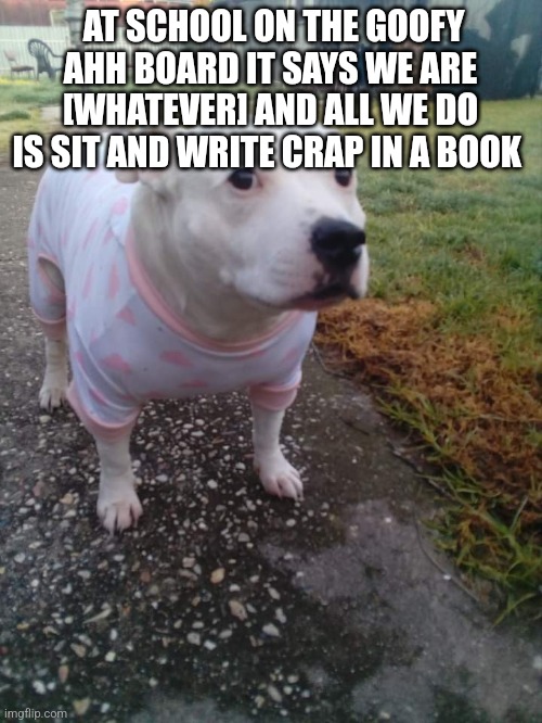 High quality Huh Dog | AT SCHOOL ON THE GOOFY AHH BOARD IT SAYS WE ARE [WHATEVER] AND ALL WE DO IS SIT AND WRITE CRAP IN A BOOK | image tagged in high quality huh dog | made w/ Imgflip meme maker