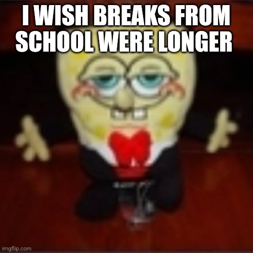 idk.jpg | I WISH BREAKS FROM SCHOOL WERE LONGER | image tagged in idk jpg | made w/ Imgflip meme maker