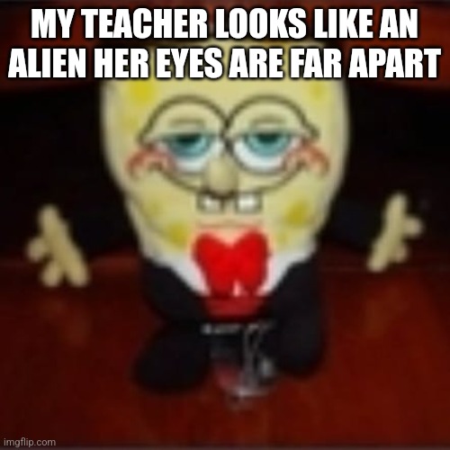 idk.jpg | MY TEACHER LOOKS LIKE AN ALIEN HER EYES ARE FAR APART | image tagged in idk jpg | made w/ Imgflip meme maker